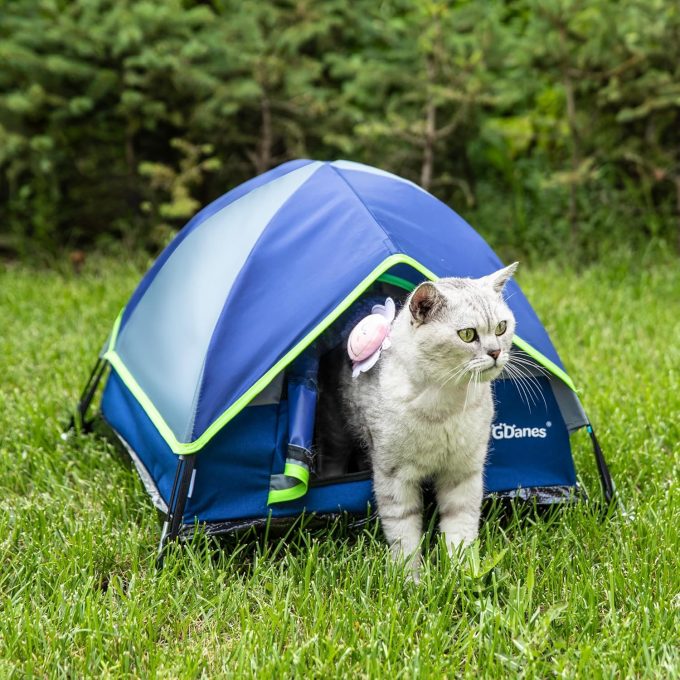 GDanes Blue Cat Tent - Image 2