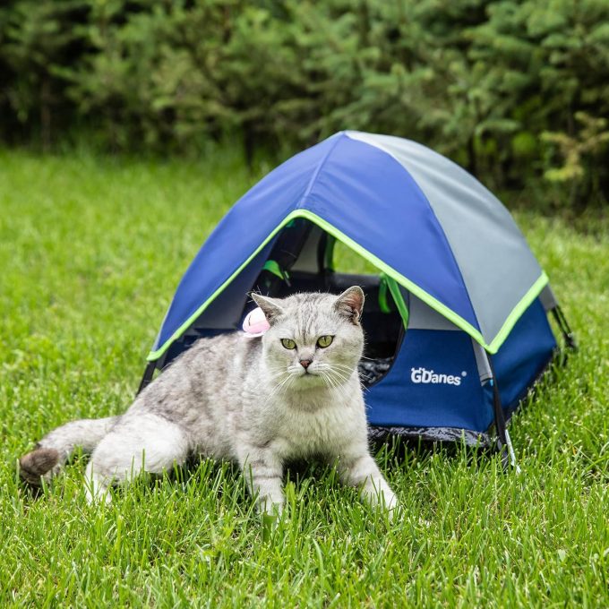 GDanes Blue Cat Tent - Image 3