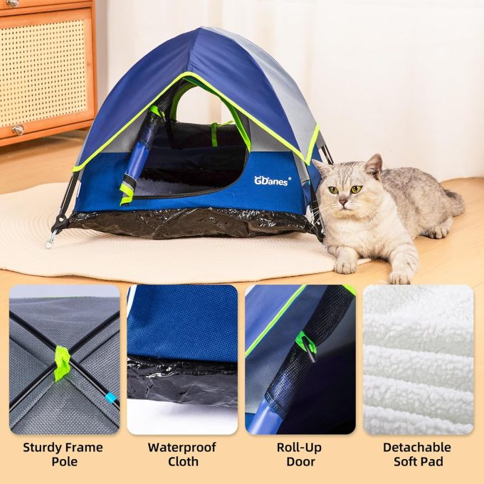 GDanes Blue Cat Tent