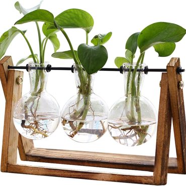 XXXFLOWER Plant Terrarium