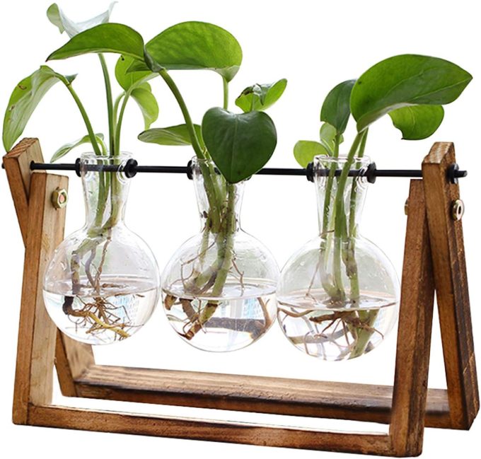 XXXFLOWER Plant Terrarium